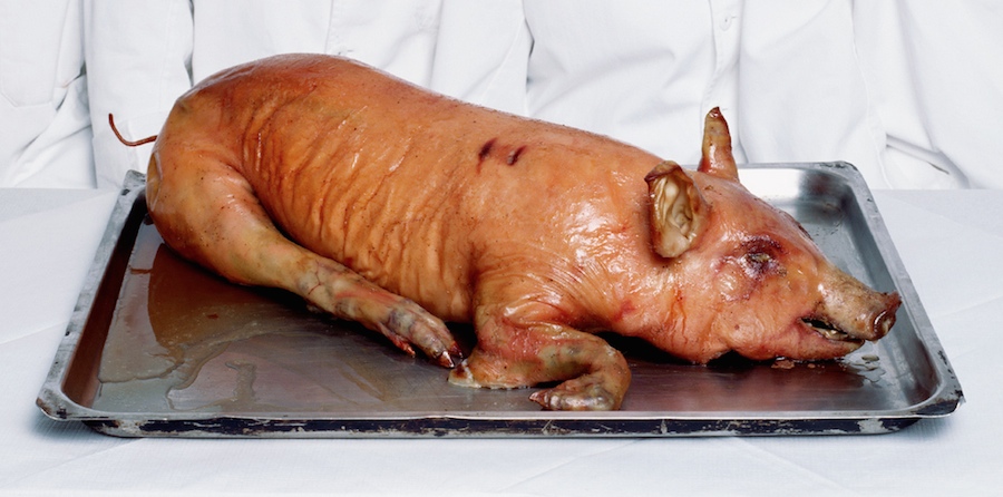 PigSuckling