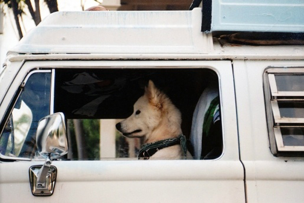desigdriver