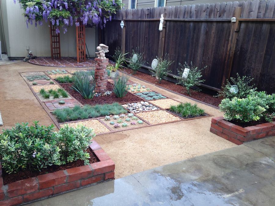 roxanne backyard1