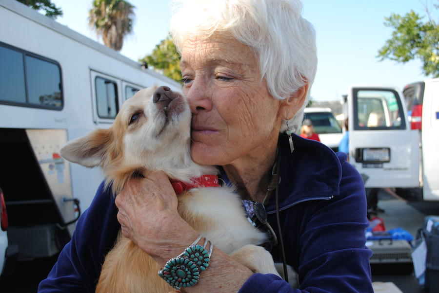 DogRescue 14