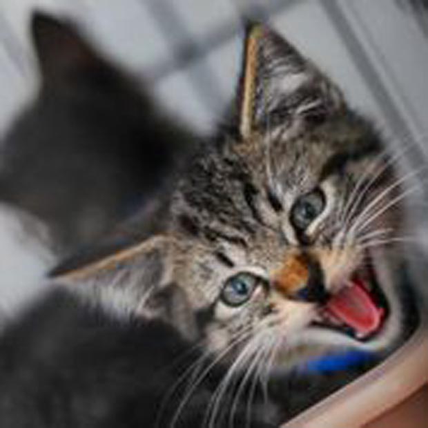 Yay--home at last