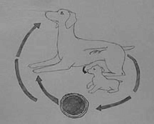 roundcycle