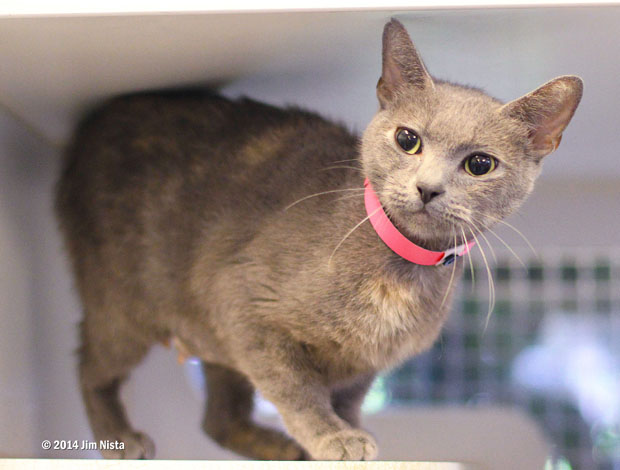 A527705 Izzy 4 years old