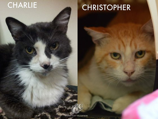 Charlie and Christopher