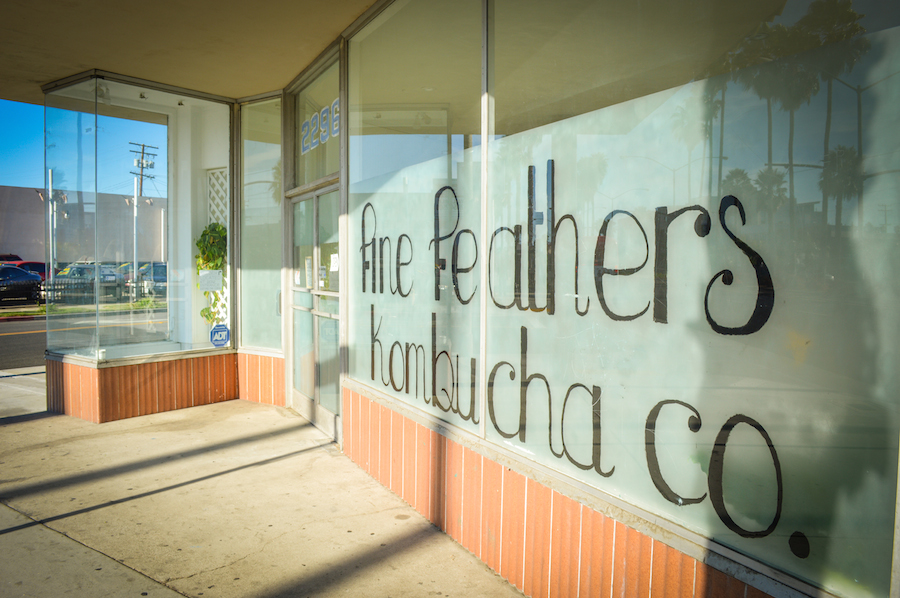 FineFeathers 01