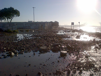 PortSurge