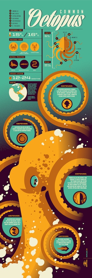 TomWhalen Octopus