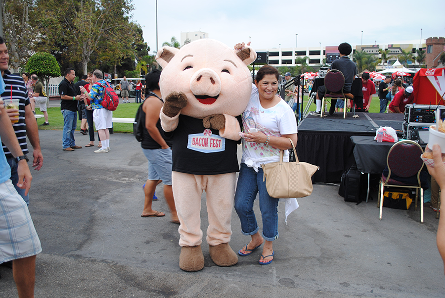 bacon-fest-pig
