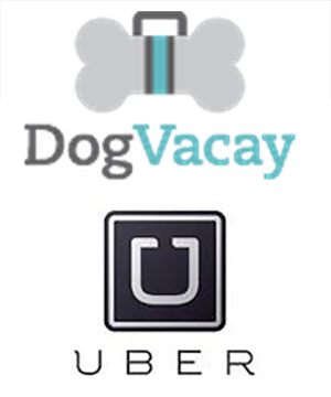 dogvacay