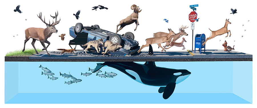 Josh-Keyes-Stampede-2011