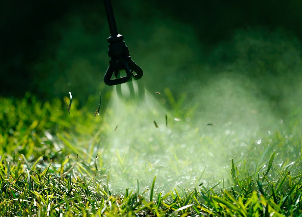 GreenGrass01