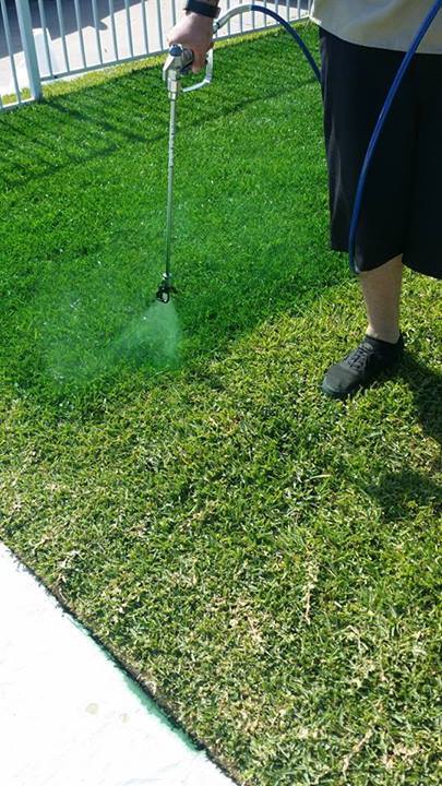 GreenGrass03
