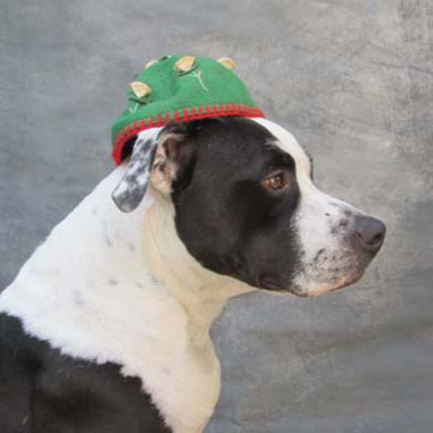 hat