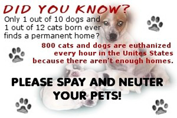 14374-spay-neuter