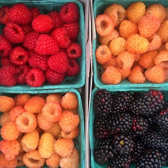 berries