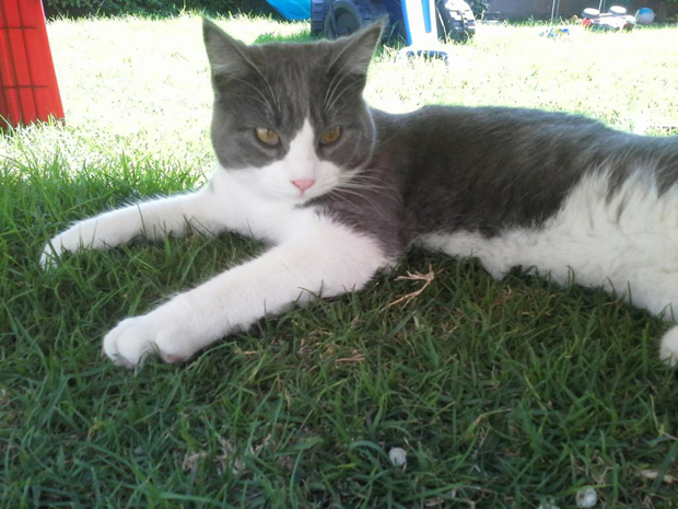 Dr. HOrrible 2 years