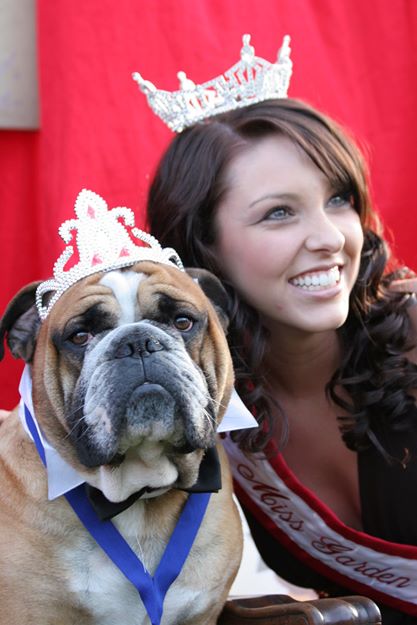 bulldogbeauty justinrudd