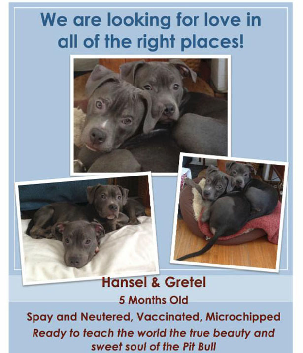 Hansel and Gretelcropped