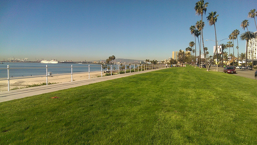 bluff-park