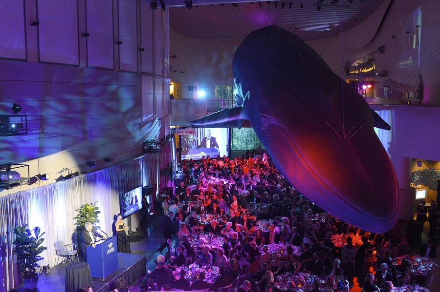 Blue Whale Gala Great Hall