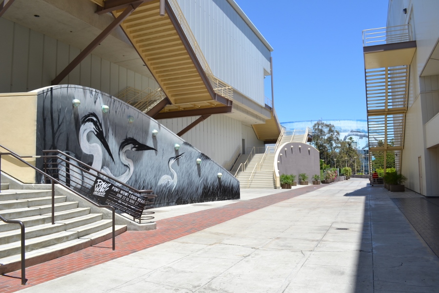 DSC 0003 900x600