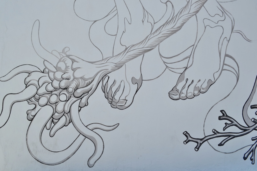 DSC 0061 900x600