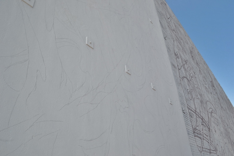 DSC 0078 900x600
