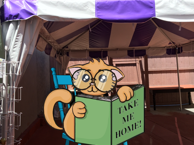 Funny cat graphic