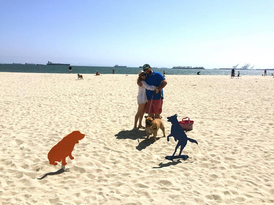 rosiesdogbeach