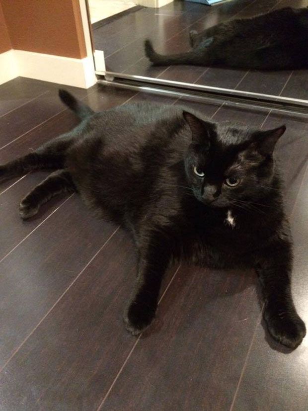Duncan at 27 pounds