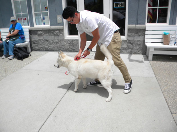 Guy who found white dog