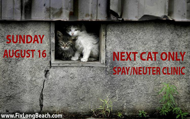 Cat Clinic--Fix