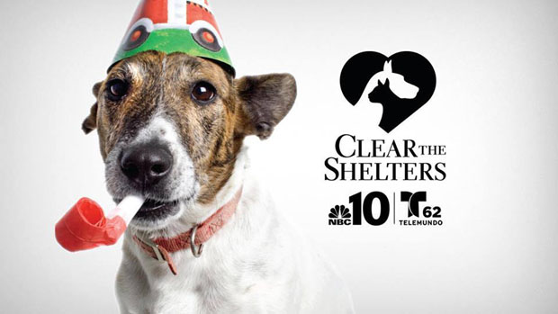 Clear the Shelters