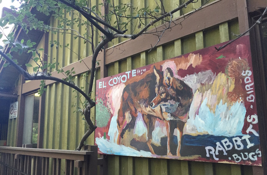 coyote nature center 