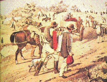 rancho1