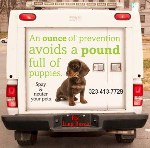 Dog clinic