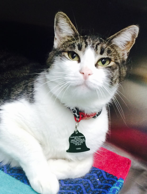 Max