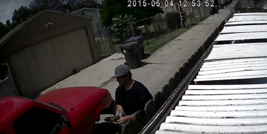 suspect2stolenbirds