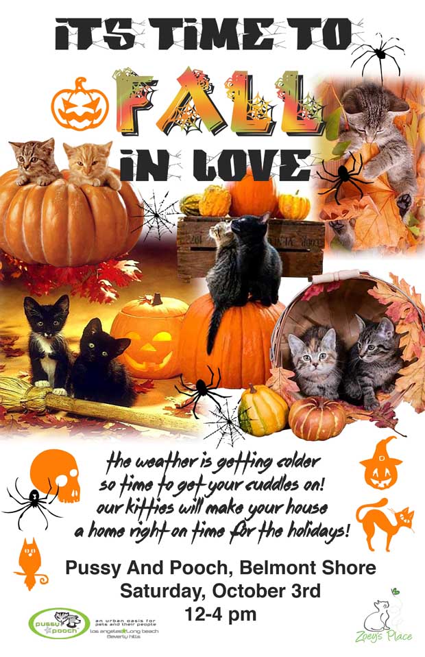 FALL ADOPTION POSTER- Pussy and Pooch