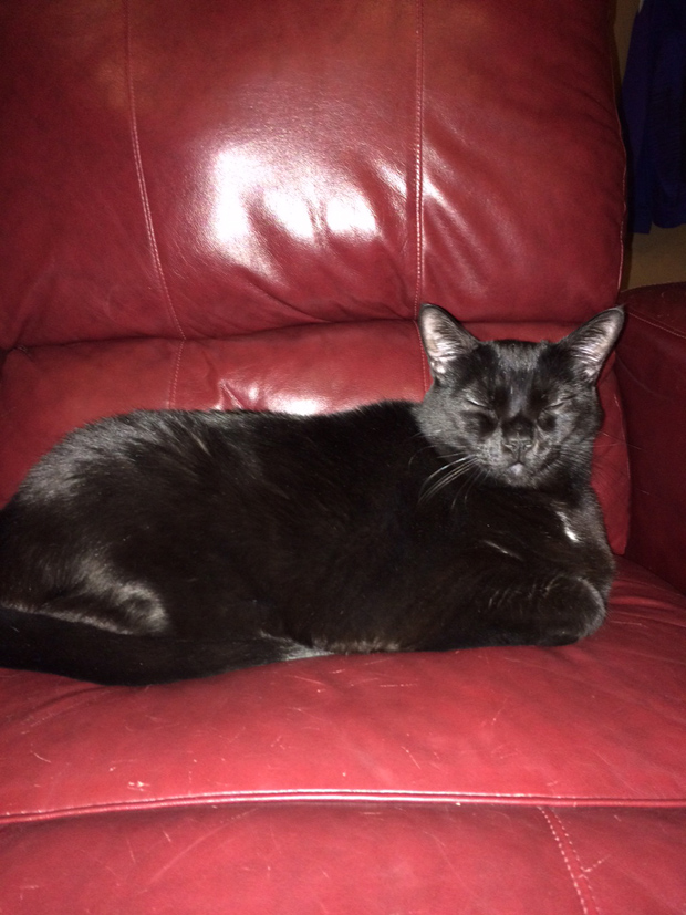 Duncan Update