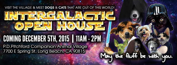 Intergalactic Open House