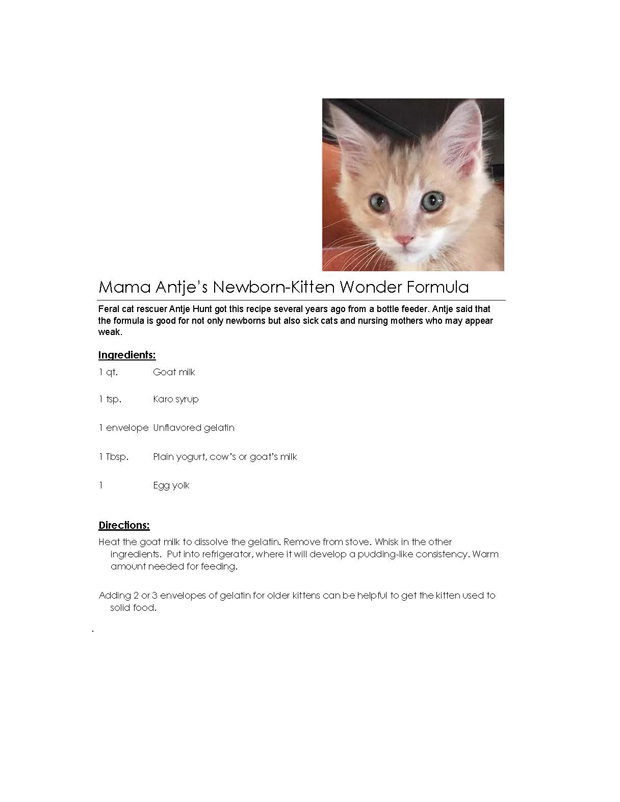 Recipe card
