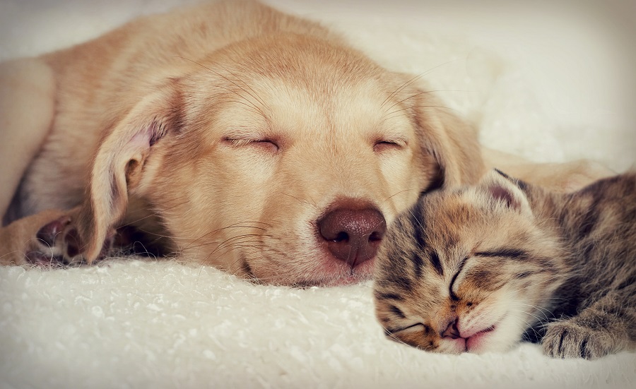 ThinkstockPhotos-465772054