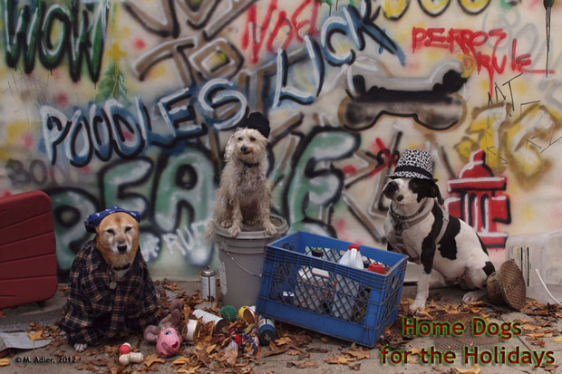 2012 Home Dogs Revisitedshrunk