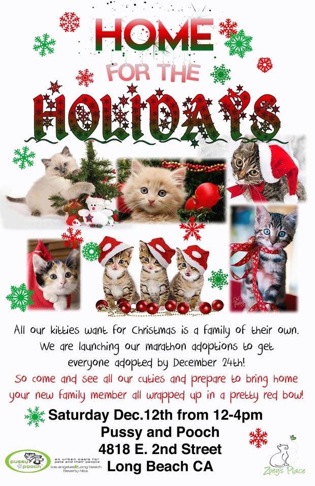 CHRISTMAS POSTER PUSSY AND POOCH 1