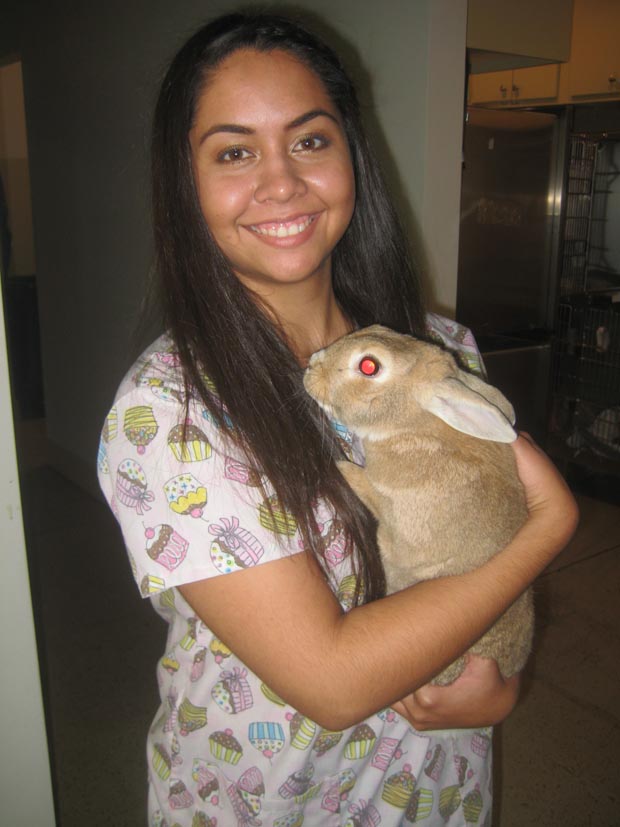 Holding rabbit