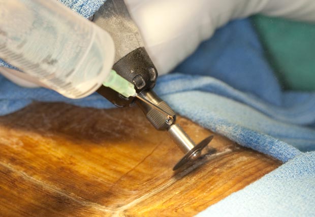 CDT Dremel