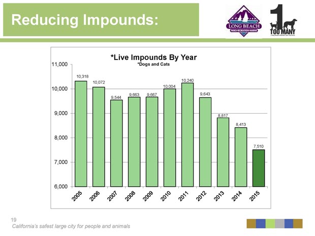 Live impound stats--all