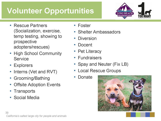 Volunteer opportunities
