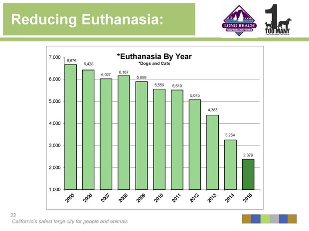 euthanasia